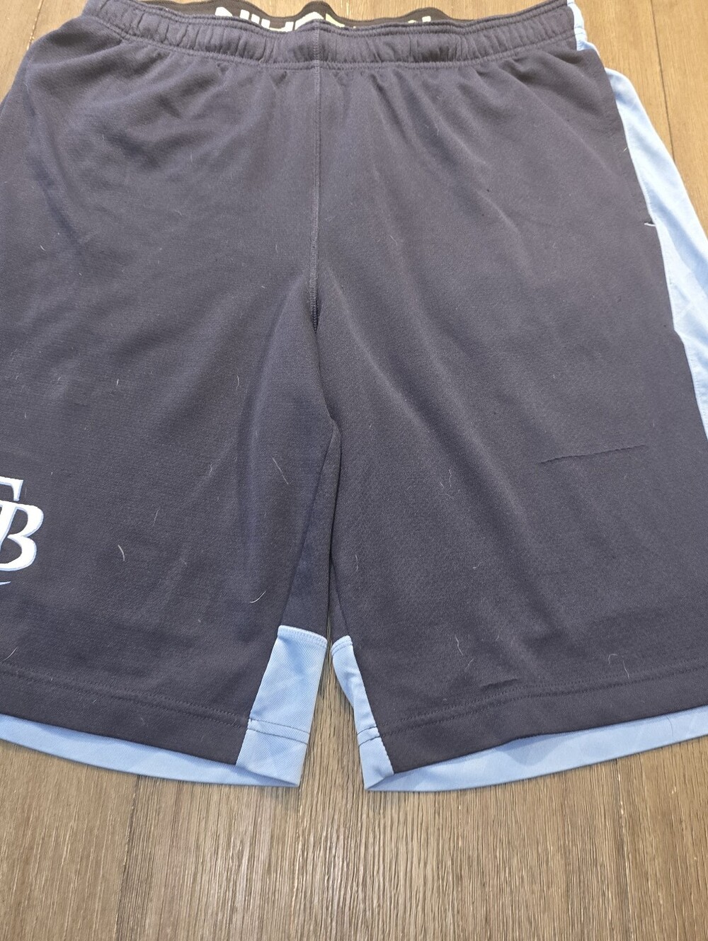 Tampa Bay Rays Sz. Large Blue Nike Athletic Shorts